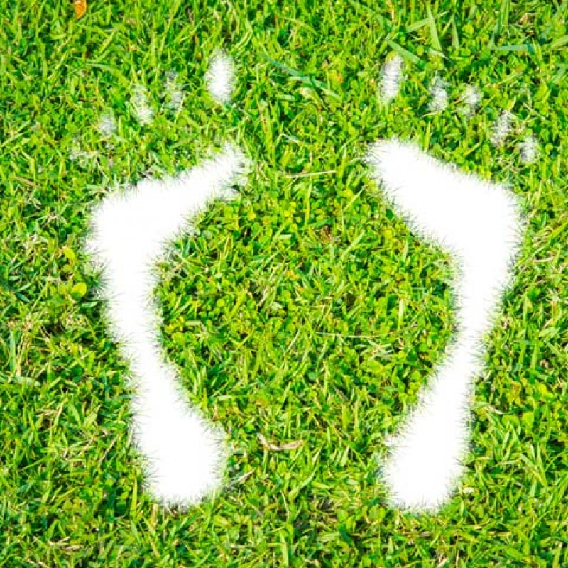 5 Ideas for Reducing Greenhouse Gas Emissions